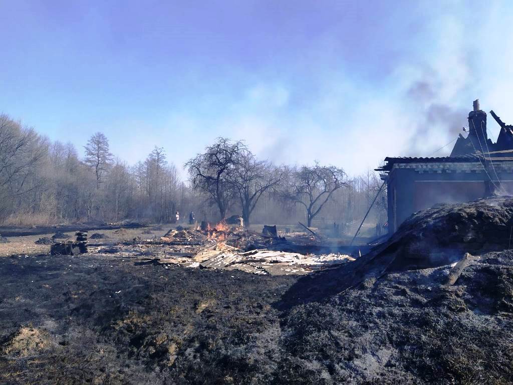 Житомирська область: упродовж доби вогнеборці ліквідували 34 загоряння сухостою, внаслідок чого вогнем пройдено 69 га території