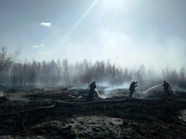 Житомирська область: триває гасіння пожежі на торфополях в Олевському районі