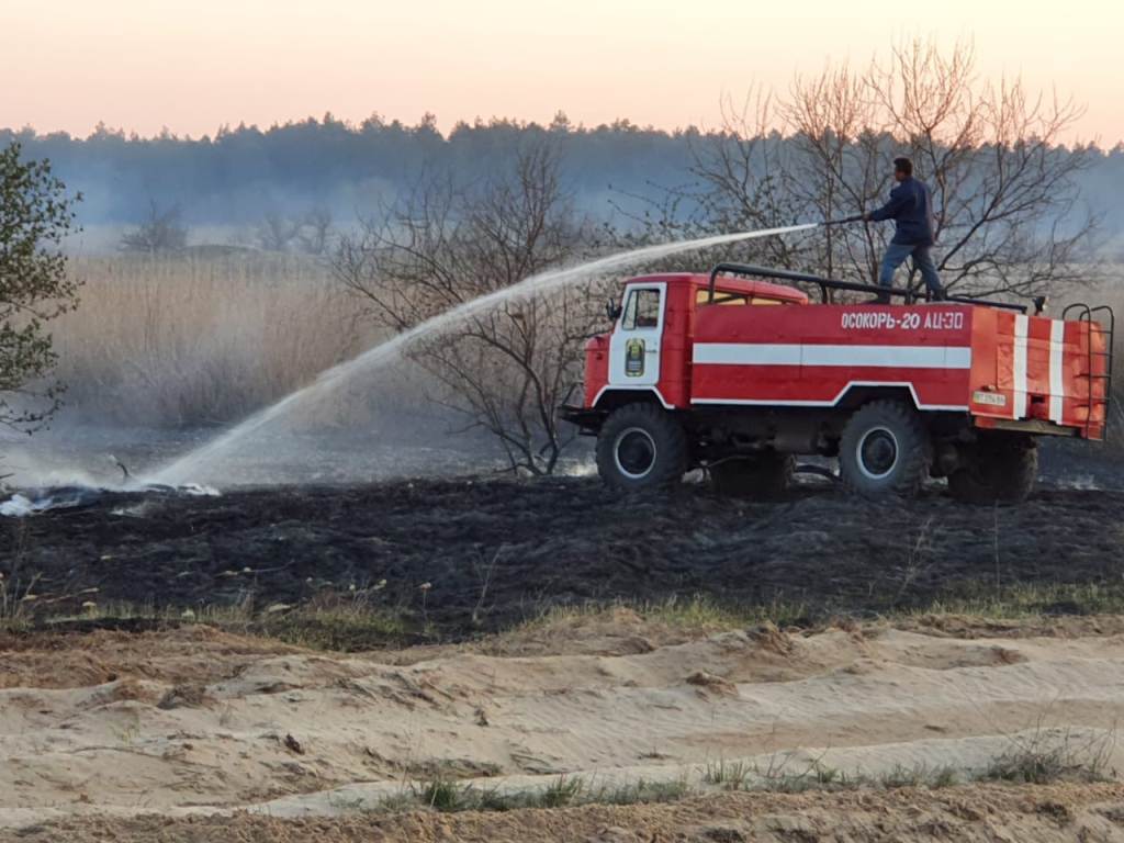 Херсонська область: протягом доби рятувальники тричі виїжджали на гасіння хвойної підстилки у лісогосподарствах області