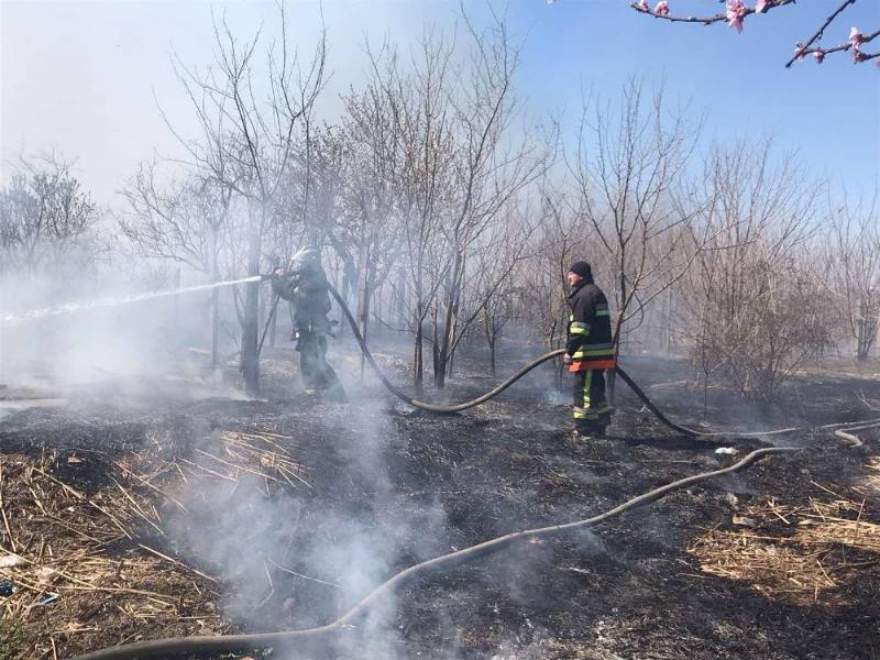 Одеська область: рятувальники ліквідували пожежу на території приватного домогосподарства та очерету на відкритій території