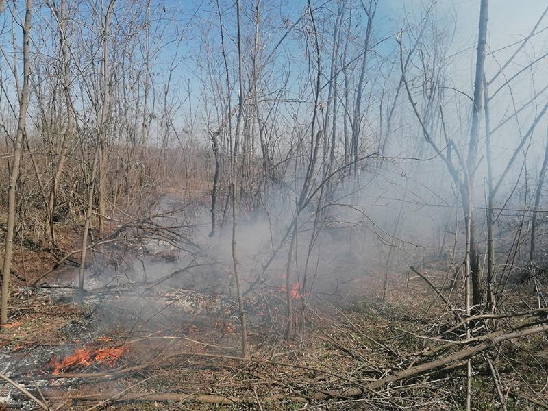 За добу на Миколаївщині вигоріло 12 га сухостою
