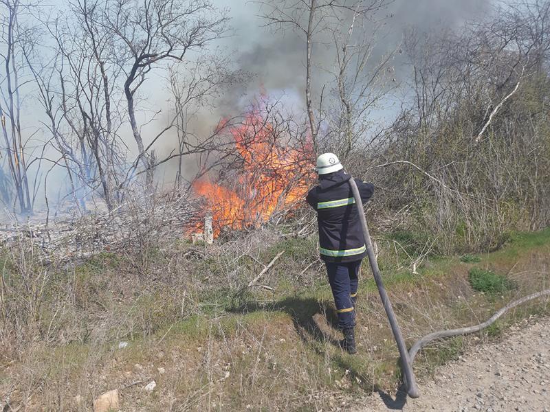 За добу на Миколаївщині вигоріло 12 га сухостою