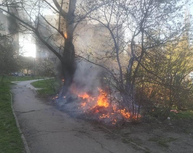 Херсонщина: за минулу добу ліквідовано шість пожеж на відкритих територіях