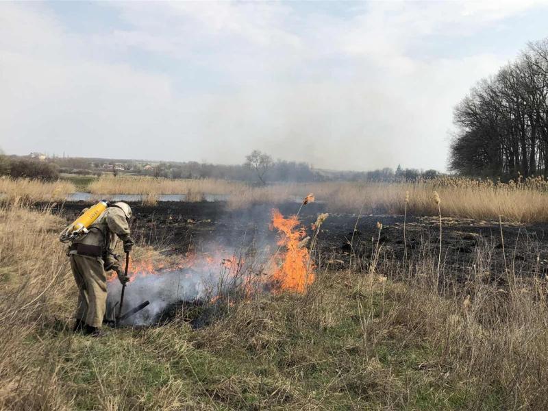 Кіровоградська область: минулої доби рятувальники спільно з вогнеборцями місцевих пожежних команд загасили 7 пожеж сухої трави