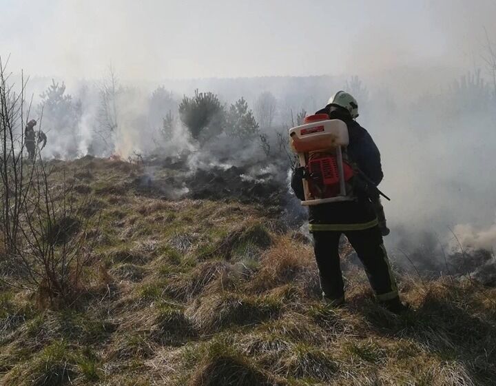 За минулу добу на Львівщині зареєстрували 61 пожежу сухої трави