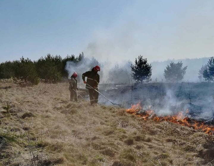 За минулу добу на Львівщині зареєстрували 61 пожежу сухої трави