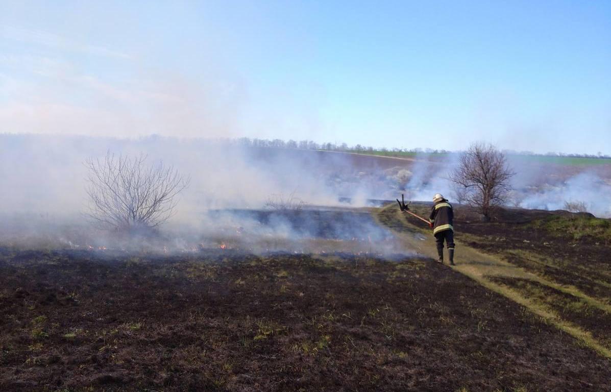 За добу на Кіровоградщині виникло 5 пожеж сухої рослинності на відкритих територіях