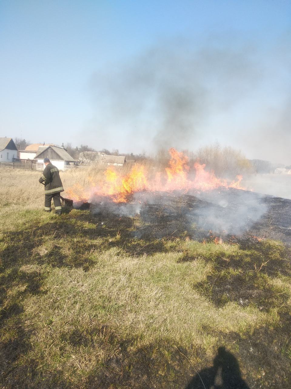 Житомирська область: упродовж минулої доби вогнеборцями області ліквідовано 23 загоряння сухої рослинності та ще 5 – сміття
