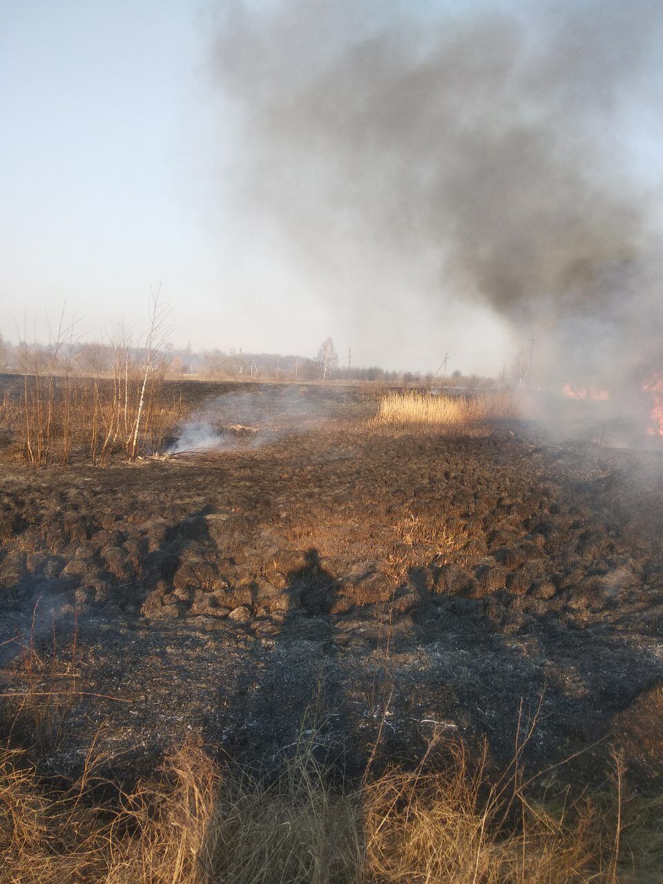 Житомирська область: упродовж минулої доби вогнеборцями області ліквідовано 23 загоряння сухої рослинності та ще 5 – сміття