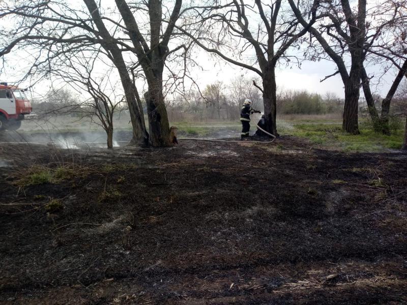 Дніпропетровська область: вогнеборці ліквідували пожежу в екосистемі