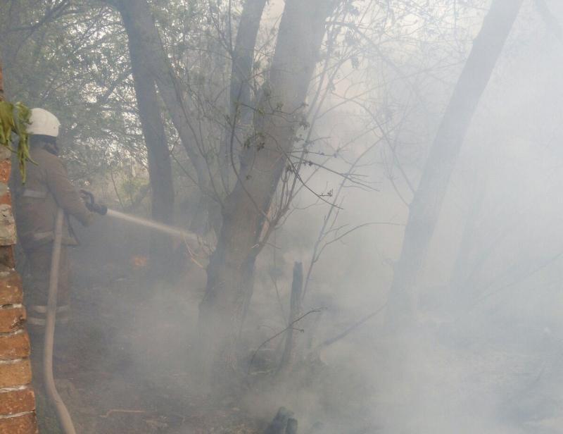 Полтавська область: вогнеборці ліквідували 11 пожеж на відкритій території та 1 лісову пожежу