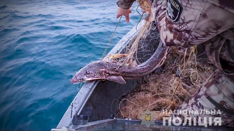 Упродовж місяця поліція на воді попередила завдання збитків державі на суму понад &nbsp;два &nbsp;мільйони гривень