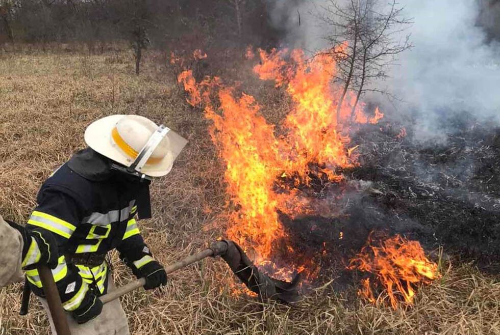 Дніпропетровська область: вогнеборці ліквідували загоряння сухостою на площі 3,5 га