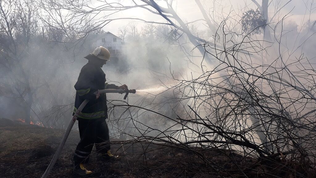 Житомирська область: упродовж доби зафіксовано 31 загоряння сухої трави на загальній площі 68 га