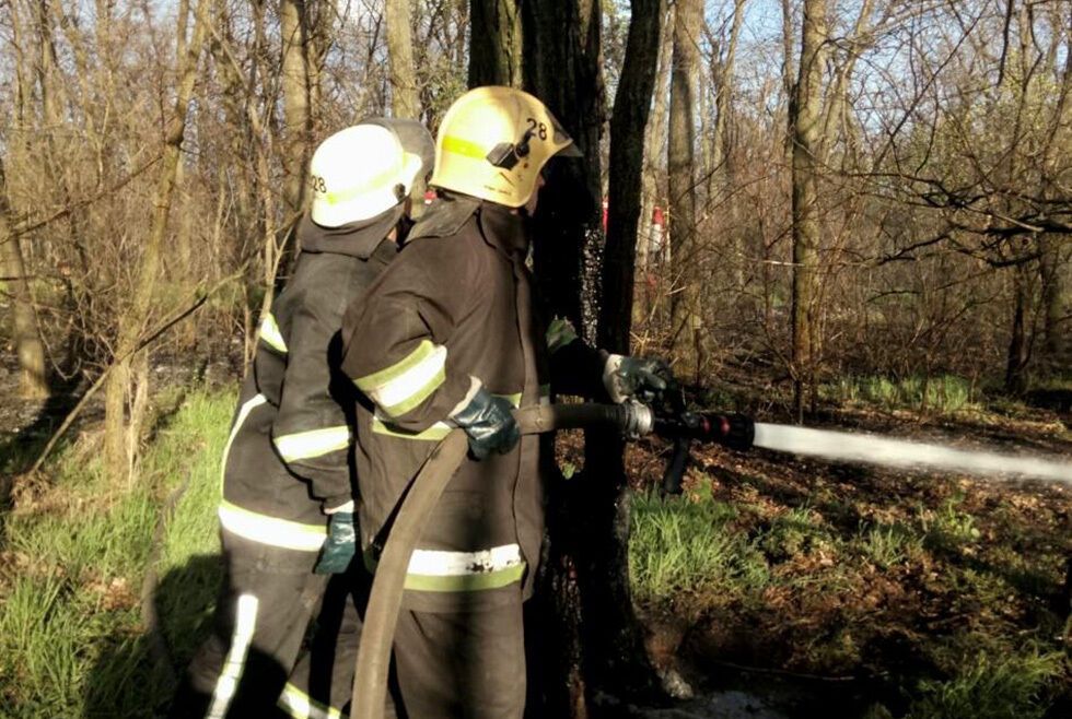 Дніпропетровська область: ліквідовано загорання сухої рослинності на загальній площі 1 га