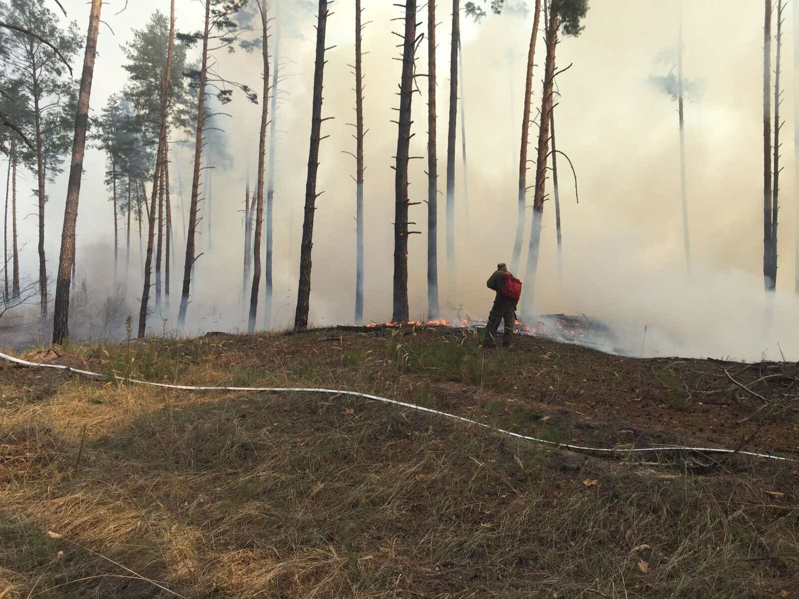 Полтавська область: вогнеборці ліквідували лісову пожежу