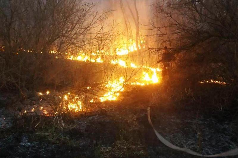 Чернігівська область: упродовж минулої доби вогнеборці ліквідували 32 пожежі у природних екосистемах, одна людина загинула у вогні