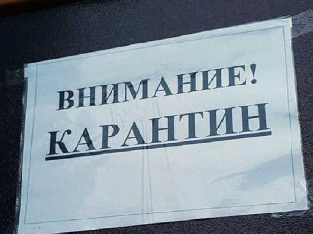 Лучшее наказание — вырыть могилу: мэр Фастова придумал, как бороться с нарушителями карантина