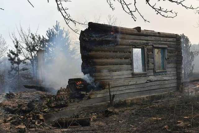 Пожар на Житомирщине: волонтер рассказала, как люди оказались в огненной ловушке
