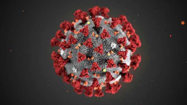 Ученые обнаружили первую значительную мутацию коронавируса