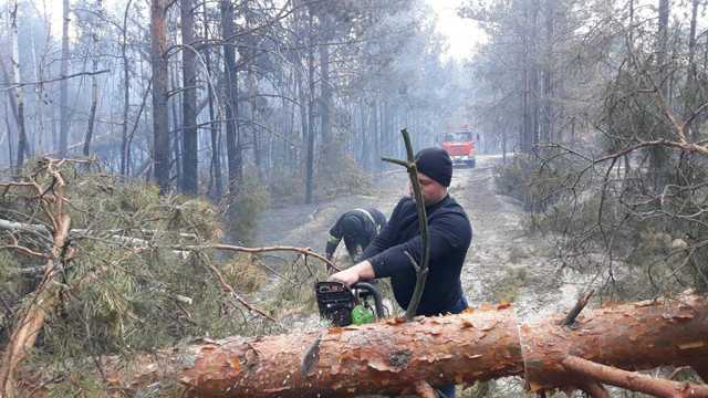 Несмотря на дожди в субботу, в Житомирской области все еще продолжают тушить пожары