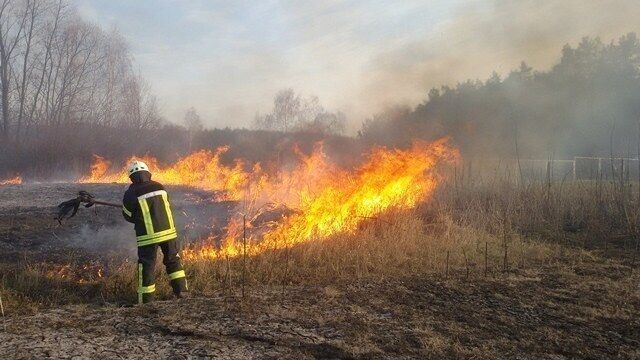 Львівська область: протягом минулої доби, рятувальники здійснили 71 виїзд на пожежі сухої трави загальною площею понад 6 га