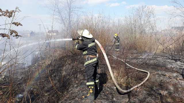 Житомирська область: минулої доби рятувальники 19 разів виїжджали на гасіння сухої рослинності