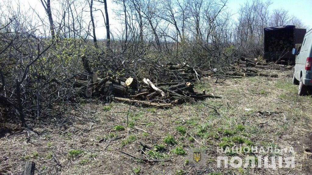 Поліція затримала поблизу Красногорівки групу «чорних лісорубів»