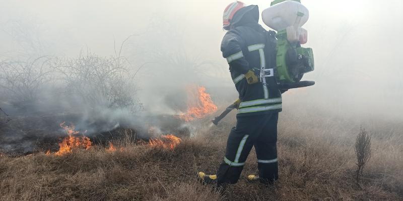 Протягом минулої доби вогнеборці Кіровоградщини приборкали 5 займань сухої рослинності