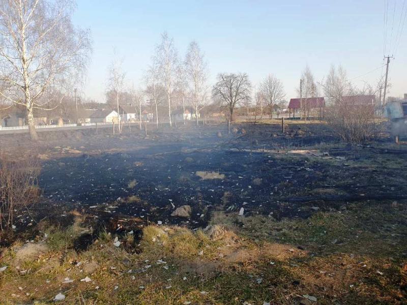 Житомирська область: упродовж доби вогнеборцями ліквідовано 30 займань сухотрав’я