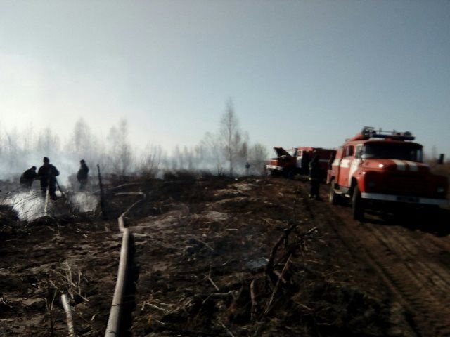 Житомирська область: триває гасіння пожежі на торфополях в Олевському районі