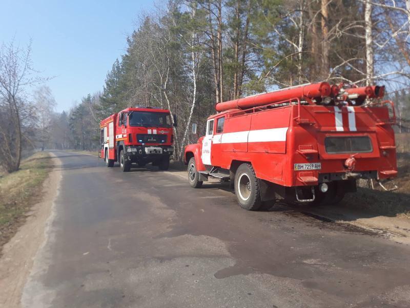 Сумська область: за минулу рятувальники двічі ліквідовували загоряння сухої рослинності