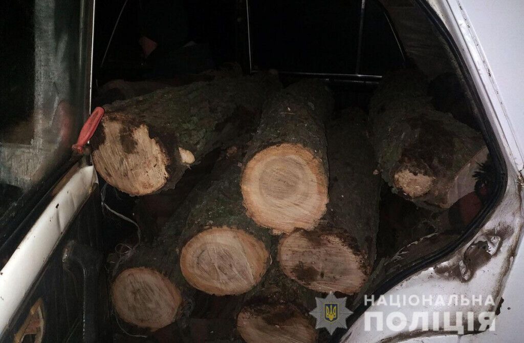 Поліцейські повідомили про підозру чоловіку, який незаконно вирубував лісосмугу у Великоновосілківському районі