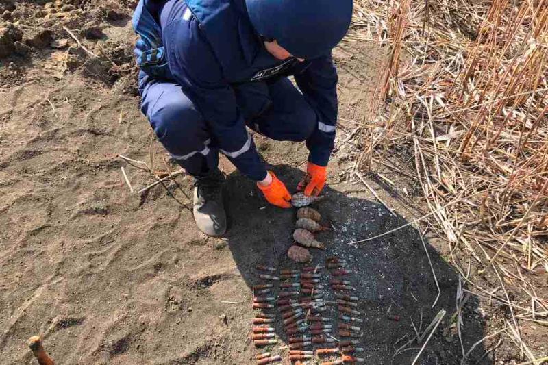 Чернігівська область: піротехніки ДСНС знищили 82 вибухонебезпечні предмети