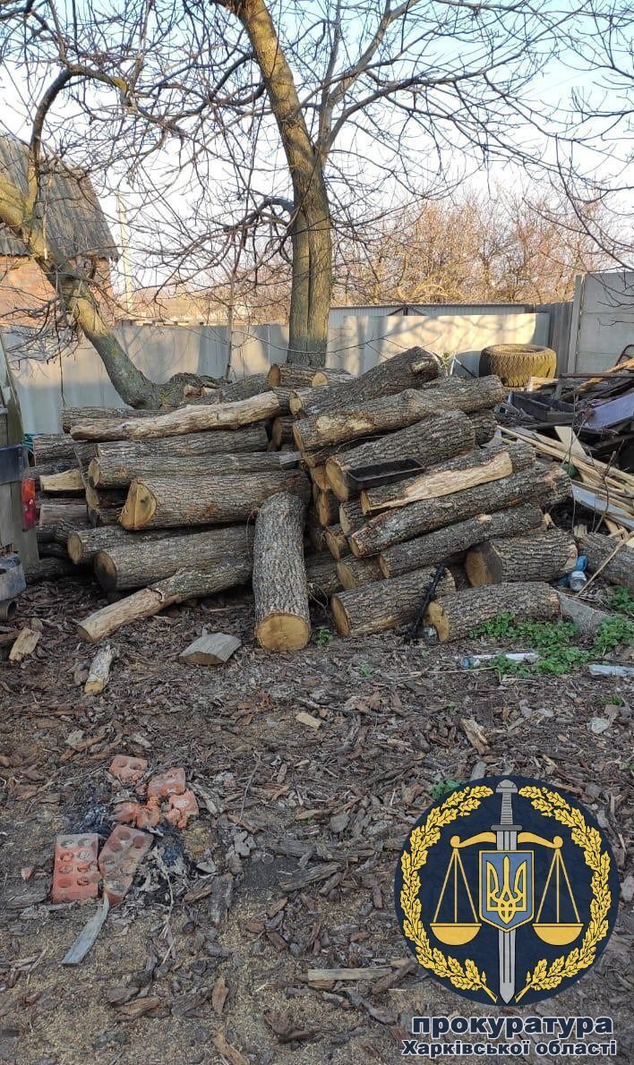 На Харківщині викрили групу «чорних лісорубів», до якої входили поліцейські