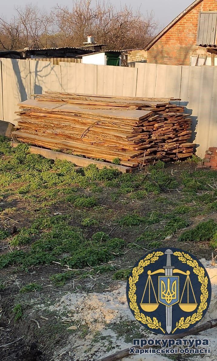 На Харківщині викрили групу «чорних лісорубів», до якої входили поліцейські
