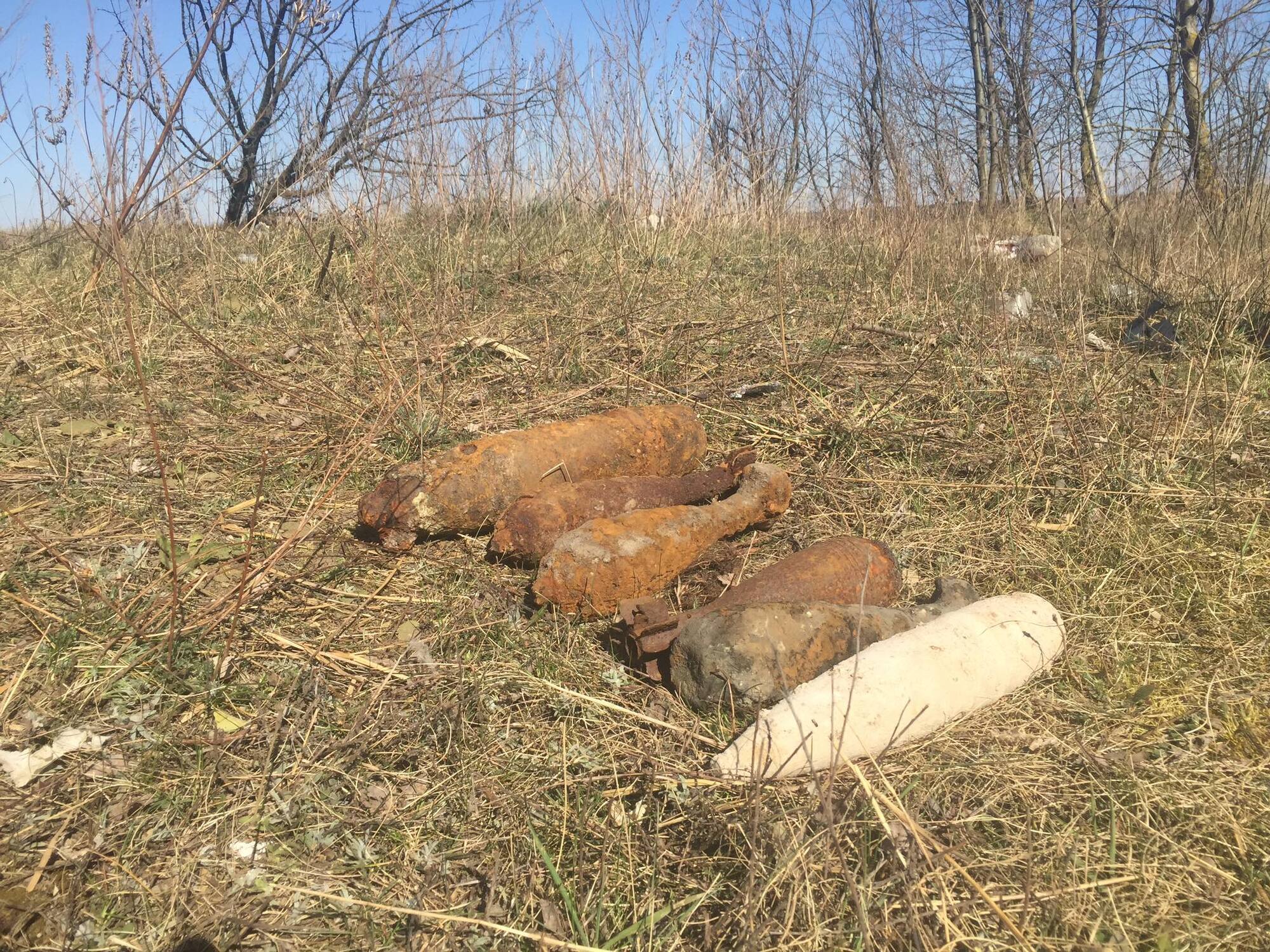 На Волині сапери знешкодили 6 боєприпасів, виявлених у полі сільськими жителями