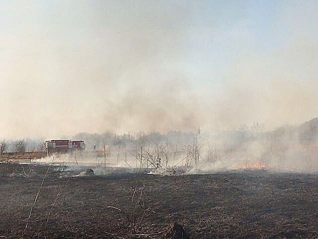 Два десятки пожеж в екосистемах за добу ліквідували закарпатські рятувальники