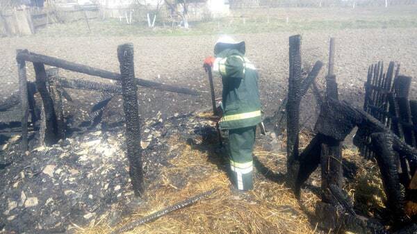 На Львівщині на пожежі загинув чоловік