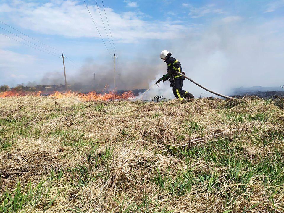 За минулу добу на Львівщині зареєстрували 32 пожежі сухої трави