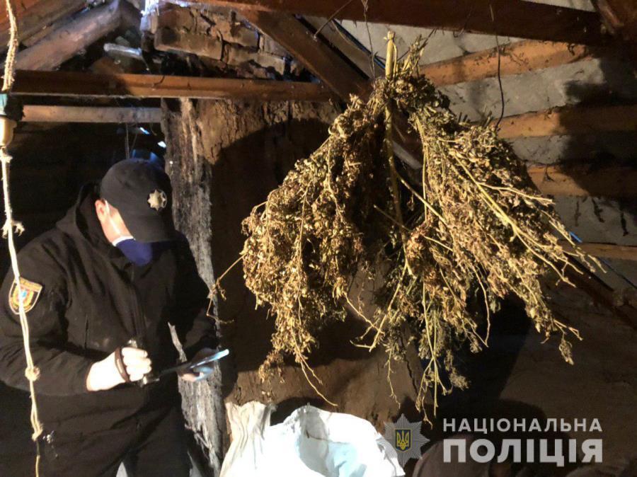 Жителю Ананьївського району загрожує до трьох років позбавлення волі за незаконне зберігання нарковмісних рослин