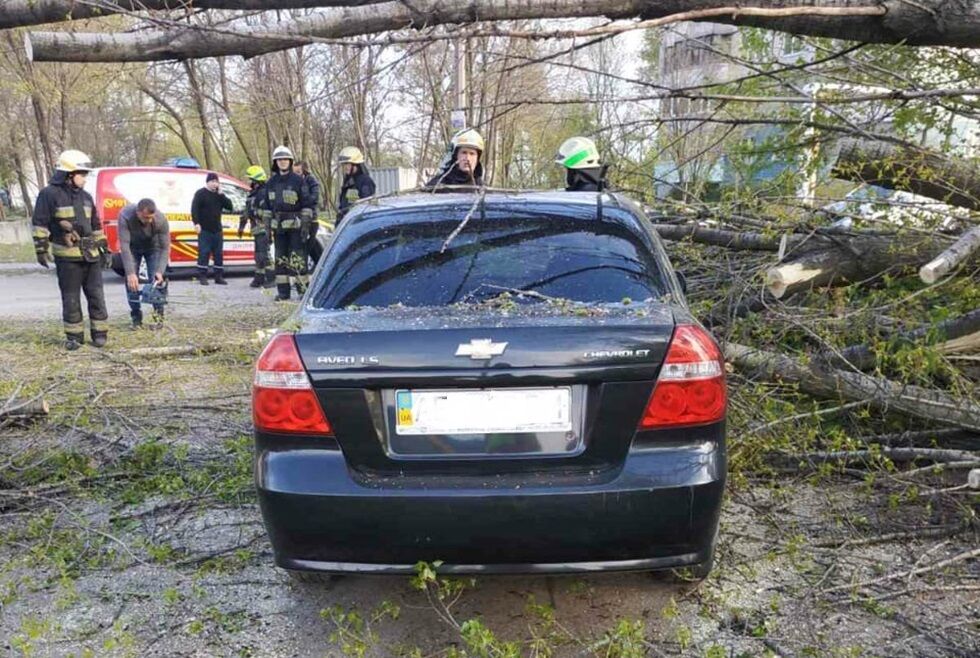 м. Дніпро: надзвичайники прибрали дерево, яке впало на легкові автомобілі