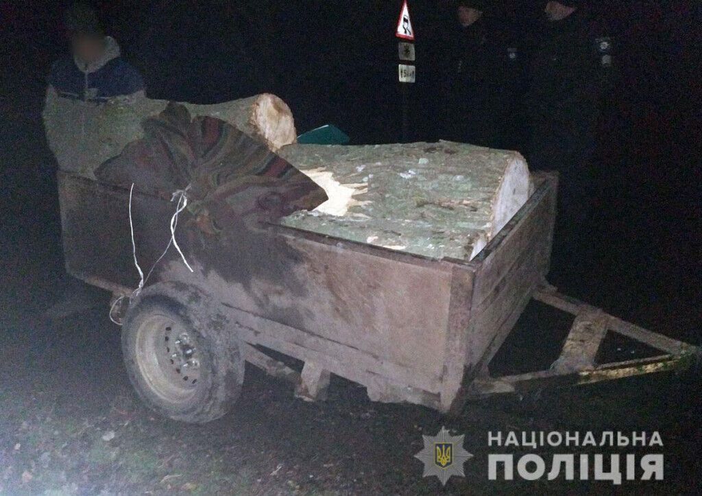 Поліцейські повідомили про підозру чоловіку, який незаконно вирубував лісосмугу у Великоновосілківському районі