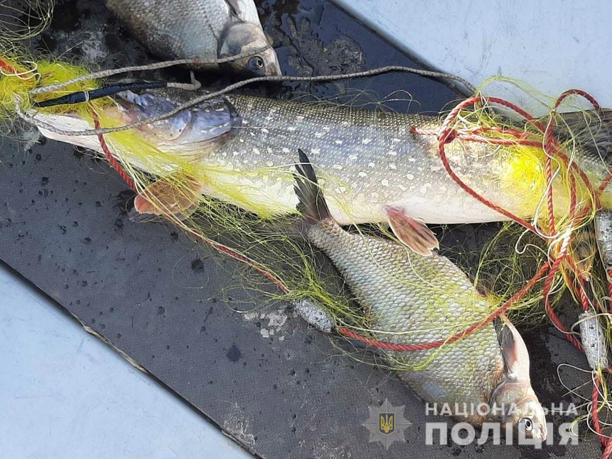 На Полтавщині поліція вилучила понад пів тони незаконно виловленої під час дії нерестової заборони риби