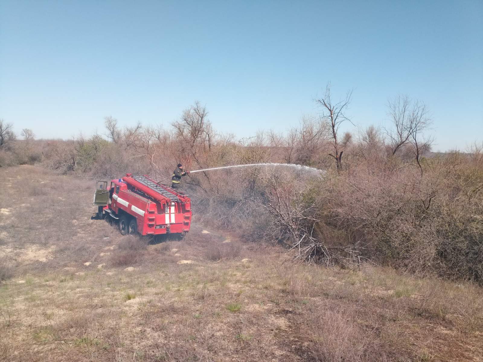 На Херсонщині ліквідовано масштабну пожежу сухостою на підступах до лісу