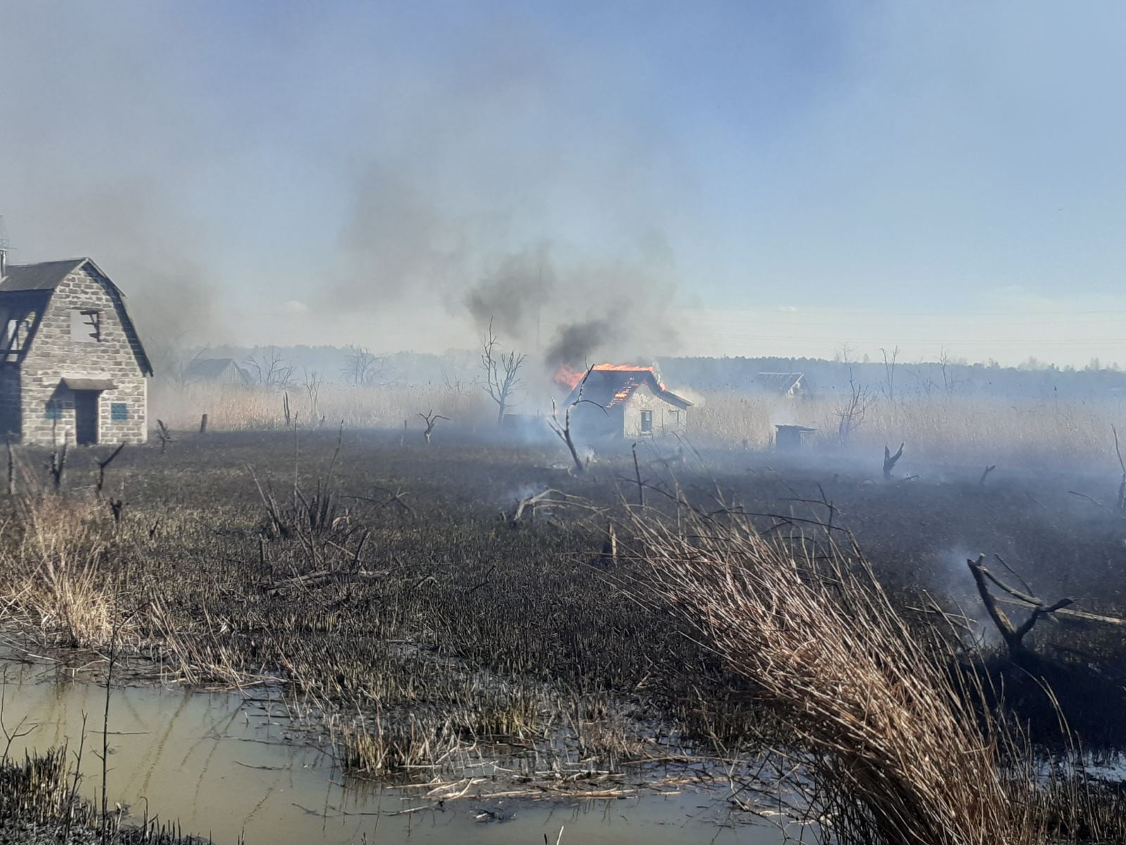 Львівська область: внаслідок спалювання сухої трави знищено 10 дерев'яних дачних будинків