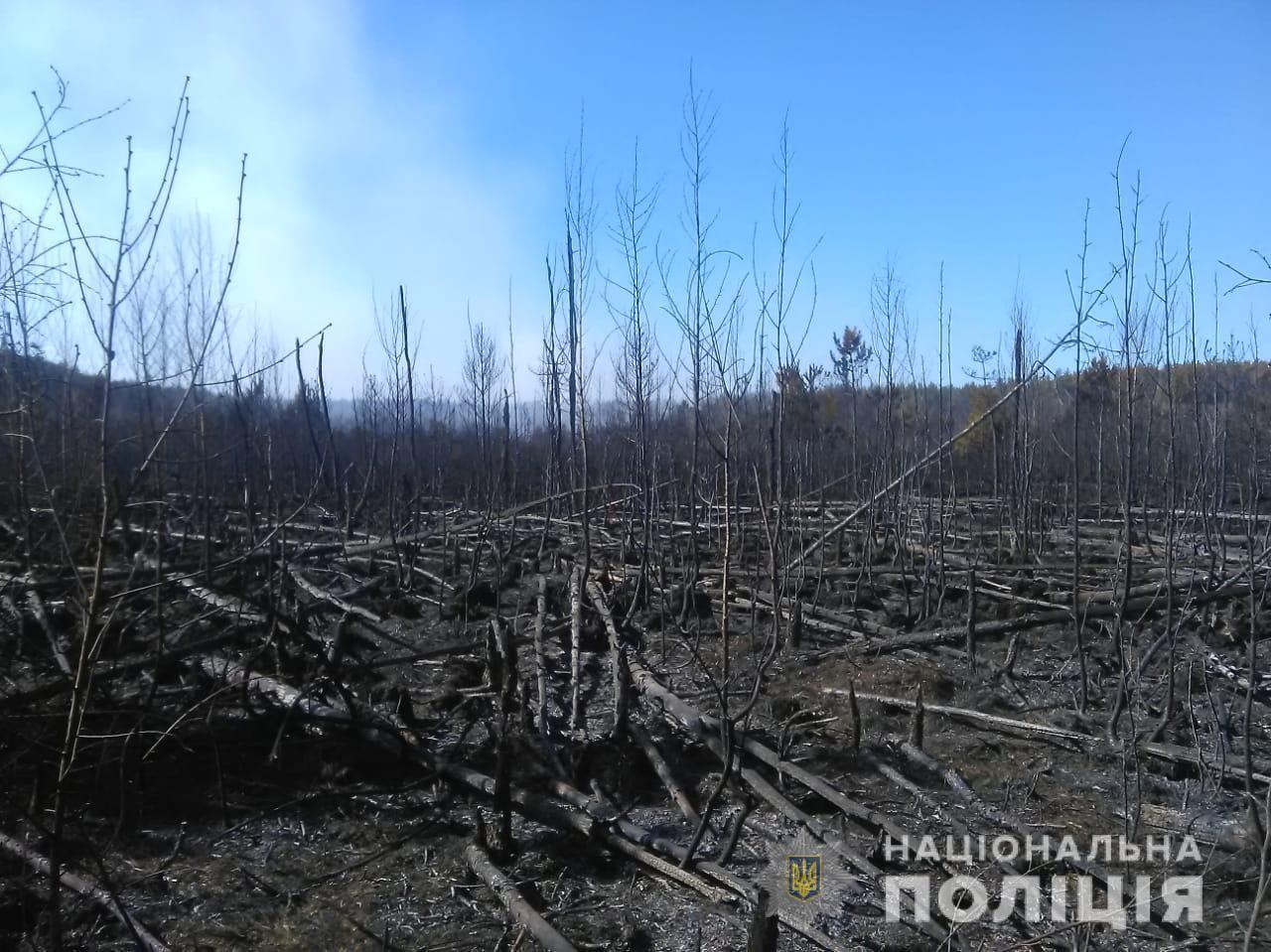 За фактом виникнення пожежі у Чорнобильській зоні поліція відкрила кримінальне провадження