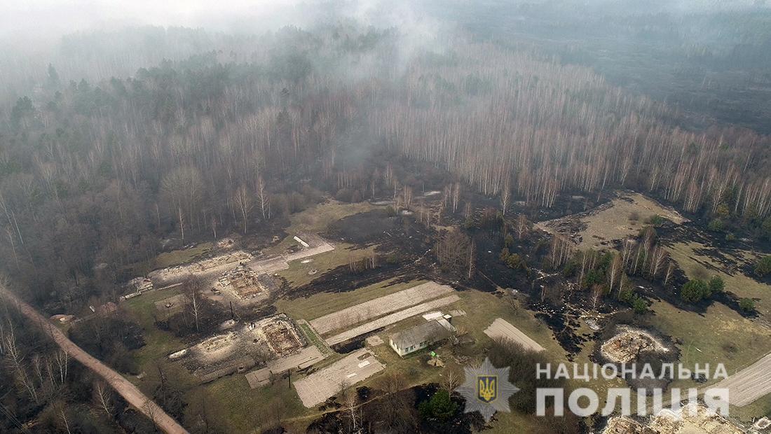Поліція Житомирщини розслідує причини пожеж у лісах області