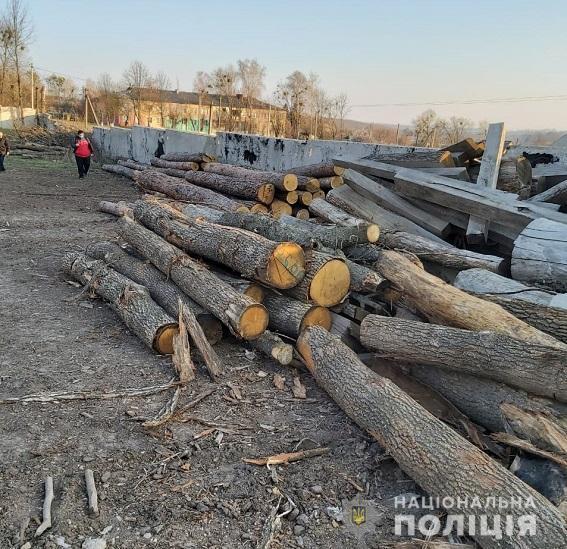 На Харківщині внутрішня безпека поліції викрила групу «чорних» лісорубів (ВІДЕО БУДЕ ДОДАНО)