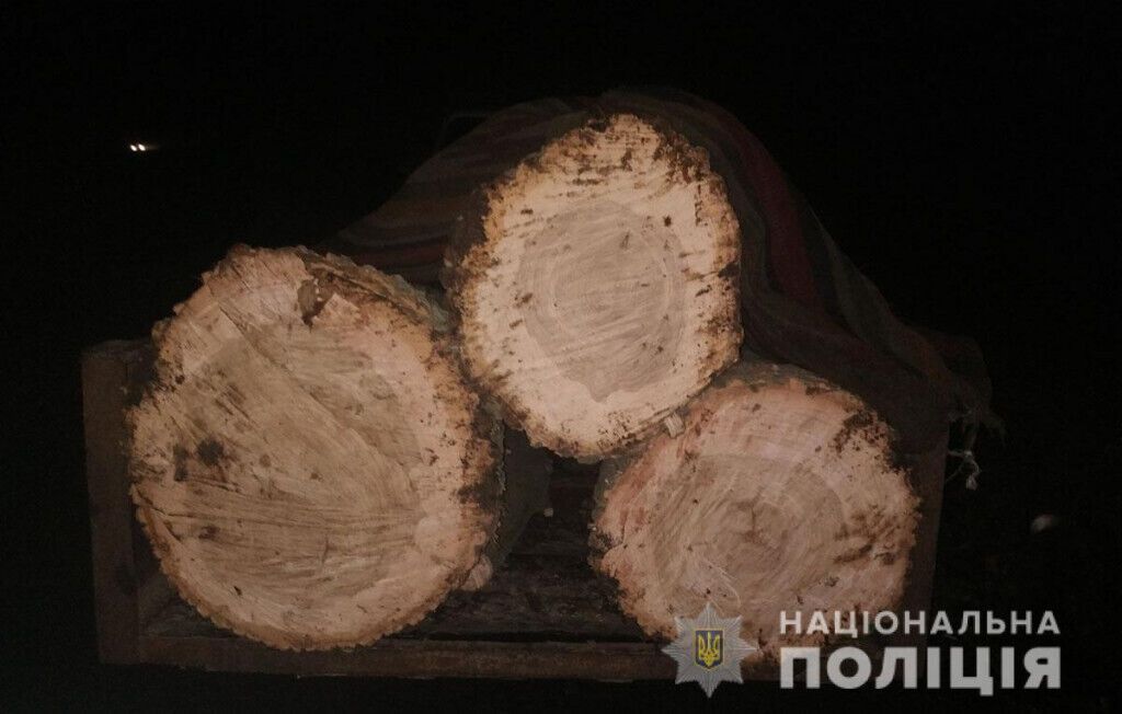 Поліцейські повідомили про підозру чоловіку, який незаконно вирубував лісосмугу у Великоновосілківському районі